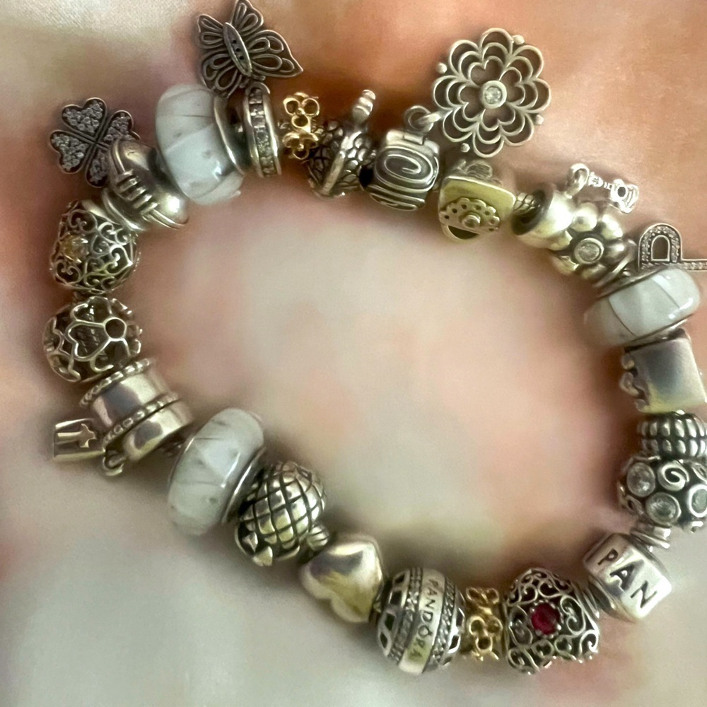 Pandora Charm Bracelet - Picture 5 of 5